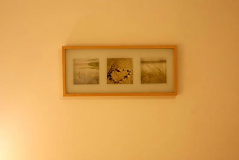 Dandelion Noclegi Varšava Polsko